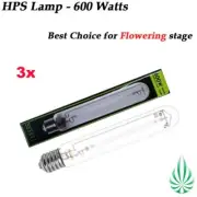 3pcs of 600w HPS LAMP HIGH PRESSURE SODIUM GROW LIGHT For Hydroponics Lighting