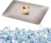 Small Animal Cooling Pad | 19.6x11.8inch Reusable Large Aluminum Pet Cooler Plate - Heat Dissipation Plate, Sleeping Ice Bed for Home, Bunny in Hot Weather