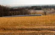 4'x100' 16ga. Galv Steel Black PVC Coated Welded Wire 2''x2'' Mesh Fence Roll