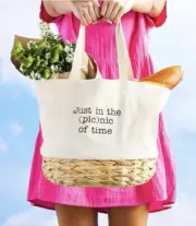 MUD PIE Picnic Bag Tote Basket Wicker Fabric “Just In The (Pic) Nic Of Time “