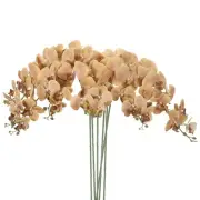 6Pcs 41" 9 Heads Artificial Orchid Stems Faux Phalaenopsis, Khaki