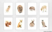 Set of 8 Woodland Animal Prints - watercolour nursery prints forest animals