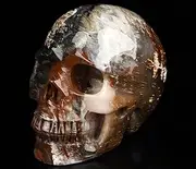 Skullis 5.0" African Petrified Wood Crystal Skull, Hand Carved Gemstone Fine Art Sculpture, Reiki Healing Stone Statue.2867