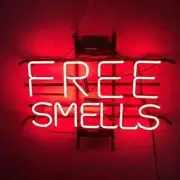 Free Smell Red Visual Neon Light Sign Display Glass Night Wall Classic 14"