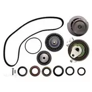 Bearing Wholesalers Timing Belt Kit - TB100WP1