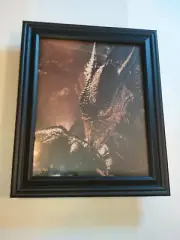 Dragonslayer Pin-up FRAMED # 1 Vermithrax Pejorative the Dragon