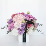 【Elite Concept 一禮莊園】浪漫紫色康乃馨盆花