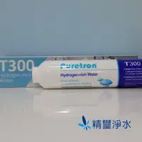 在飛比找蝦皮購物優惠-Puretron T300氫水濾芯 Hydrogen-ric