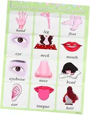 VILLFUL Home Schooling English Chart Boys and Girls English Learning Poster Early Education Wall Map