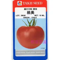 在飛比找蝦皮購物優惠-【野菜部屋~】L29 日本桃美蕃茄種子1000粒原包裝 , 