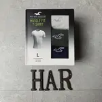 [海鹿馬] HOLLISTER 海鷗 短T 圓領短袖 男女可穿 58~108公斤 刺繡小標 素T 三件組 奶灰 軍綠 深