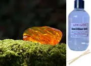 Oakmoss & Amber - Reed Diffuser Refill
