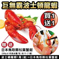 在飛比找PChome24h購物優惠-【海肉管家】加拿大波士頓螯龍蝦(送日本鳥取縣松葉蟹鉗)