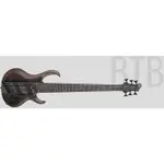 【名人樂器】IBANEZ 印尼廠 BTB806MS TGF