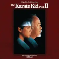 在飛比找Yahoo!奇摩拍賣優惠-"小子難纏 2-加長版 The Karate Kid II"