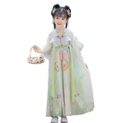 Girl Ancient Hanfu Embroidered Tang Suit Chinese Traditional Dress Princess