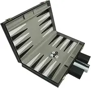 Generic Family Fun Backgammon Set with Portable Design