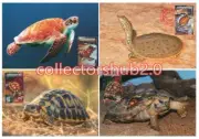 LIBYA 1996 Reptiles Reptilia Turtles (4 maximum-cards)