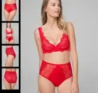 Soma Sensuous Chantilly Lace Plunge Bra Modern Brief Set 34C S Cherry Red