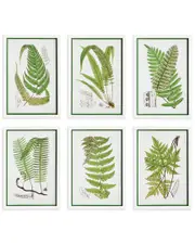 Napa Home & Garden Set of 6 Layered Fern Prints