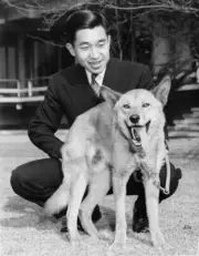 Crown Prince Japan Akihito pet dog Dingo grounds Togu Palace re- 1963 Old Photo