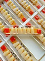Acrylic Resin False Teeth Accutone Anterior Upper A3.5/81-3M dentures box 120pcs