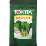 【野菜部屋~蔬菜種子】E62 春選抜小松菜種子3兩日本原包裝 , 耐高溫 , 耐寒 , 耐乾燥 ,每包400元~