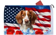 Brittany Spaniel Patriotic Mail Box Cover