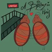 A bedbug in Paris