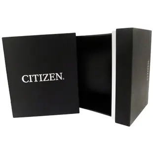 Citizen 星辰錶 經典 機械 男錶 NK5000-98L 錶徑41MM