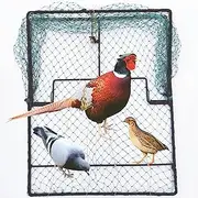 DSQSTMR Bird Trap Pigeon Live Animals Squirrel Chipmunk Sparrow Starling Critter Bird Net Catcher