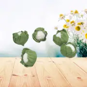 5 Pcs Miniatures Cauliflower Mini Realistic Chinese Cabbage Clay Vegetables for