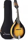 Donner A-Style 8 Strings Acoustic Mandolin Sunburst with Case Brand New