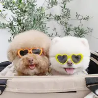 在飛比找ETMall東森購物網優惠-愛心寵物墨鏡小型犬泰迪比熊博美外出護目太陽鏡頭飾貓狗拍照神器