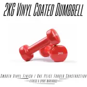 2x 2KG Vinyl Coat Dumbbells Solid Dumbell Arm Hand Gym Weights Strength