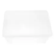 Insect Rearing Box Gecko Enclosure Reptile Hide Plastic Breeding Cage