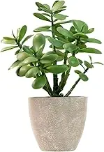 365 Blooming Decor 12" Artificial Potted Jade Plant-Luxury Faux Succulent Plant for Home, Office, Book Shelf Decoration, Money Tree, Faux Crassula ovata