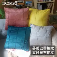在飛比找momo購物網優惠-【TROMSO】芬蒂巴黎格紋立體絨布抱枕(抱枕躺枕靠枕)