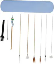Yardenfun 1 Set Ear Cleaning Tools Kit Portable Ear Wax Removal Set with and Spoons for Includes Professional Tools for Home Use