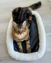 Double-Sided Cat Bed: Plush White & Stylish Black - Perfect for Cats