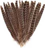 27Pcs 25-30Cm Natural Pheasant Feathers for DIY Craft Wedding Home Party Decorat