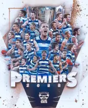 2022 Geelong cats premiers team poster , afl football,Sydney swans,champions 8