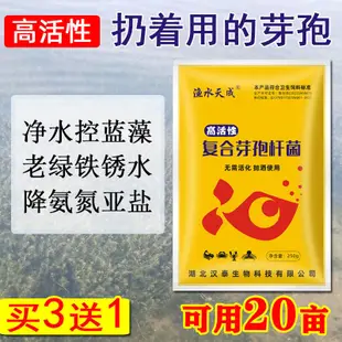 複合芽孢桿菌水產養殖專用魚蝦塘淨水調水降氨氮亞鹽枯草芽孢菌種