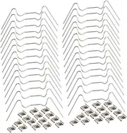 60pcs Greenhouse Glass Fixing Clip Z-overlap Clips Wire Glazing for Greenhouse Garden Spring Wire Clamp Stainless Steel
