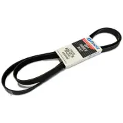 Genuine OEM MOPAR 1996-2000 Mini Vans Drive/Serpentine Belt 3.8L 5281275