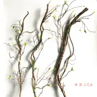 在飛比找松果購物優惠-仿真枯樹藤塑料假樹藤造景牆面裝飾樹藤 造型藤山藤 (8.3折