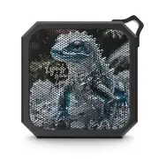 Snow Newt Outdoor Bluetooth Speaker