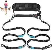 SlowTon Hands Free Dog Leash with Removable Zipper Pouch, Shock Absorbing Bungee Leash, Dual Handle and Reflective Stitches, Wide Padded Adjustable Waist Leash for Dogs Training Running Jogging