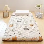 Futon Mattress Japanese,Portable Double Single Tatami Mat Sleeping Bed Pad,Thick Roll Up Floor Mattress for Guests, Dormitories, Camping, Sofas UE-MAOLU(E,120 * 200cm)