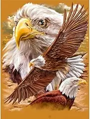 Paint by Numbers Painting by Numbers Paint by Number Oil Painting Eagle Animal On Canvas Acrylic for Adult Kit Picture Paint by Number Coloring Decor 40x50cm